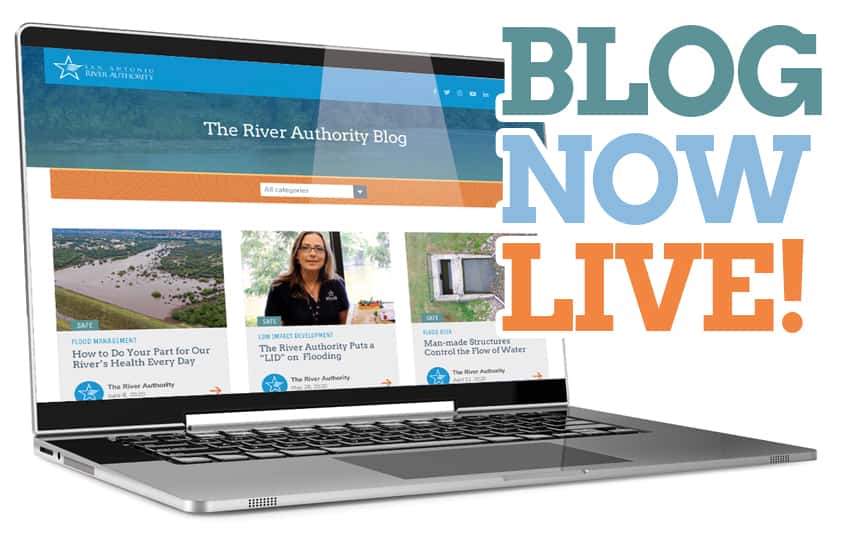 Blog Now Live