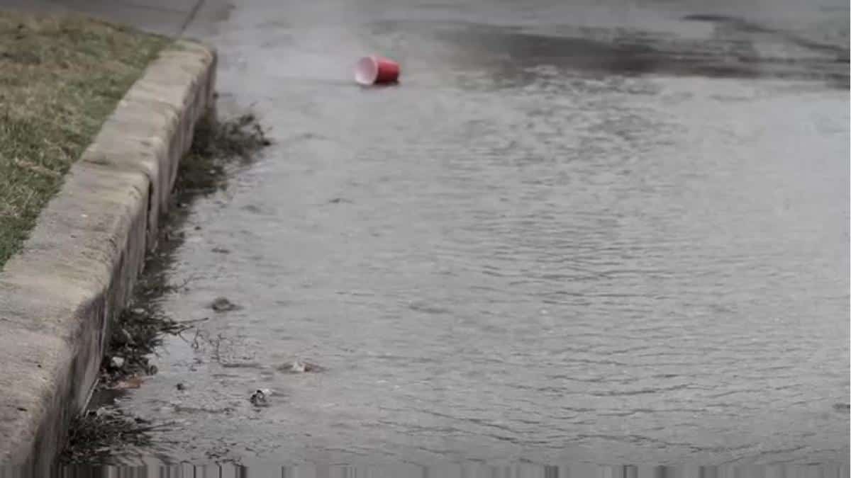 cup on water