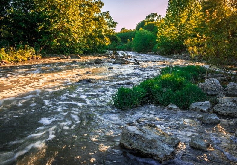 San Antonio River on the Mission Reach segment of the San Antonio River Walk.