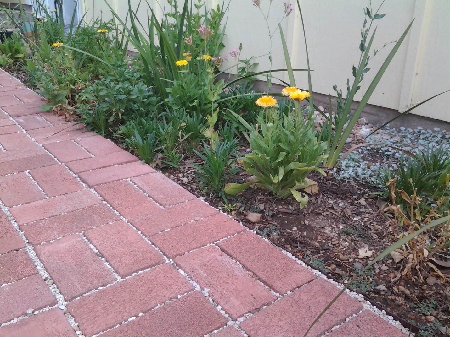 Permeable pavers installed at a residence. 