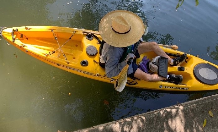 River Warrior participating in Apple Snail egg-casing monitoring efforts on the King William Paddling Trail. 