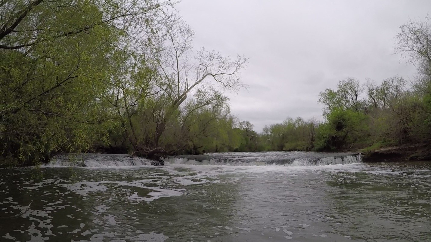 Falls on the San Antonio River near Falls City, Karnes County