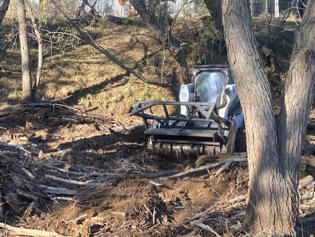 San Antonio River Authority brush removal efforts in Wilson County.