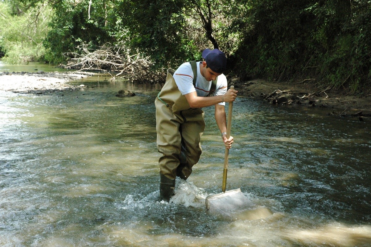 River Authority staff conducting a kick sampling technique