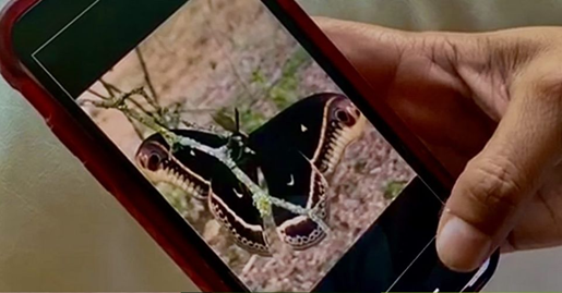 Students and adults are encouraged to use apps to record wildlife observations
