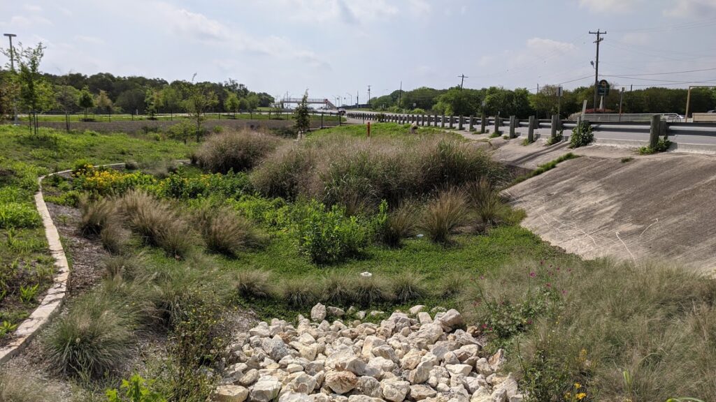 Bioswales help capture stormwater runoff in urban areas to help improve water quality in our area creeks and rivers.