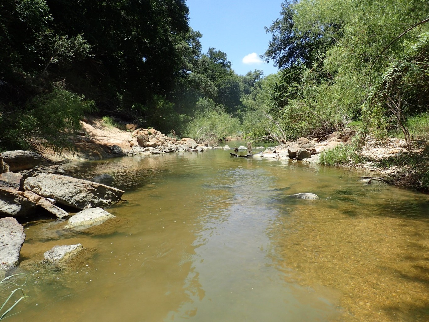 Salado Creek