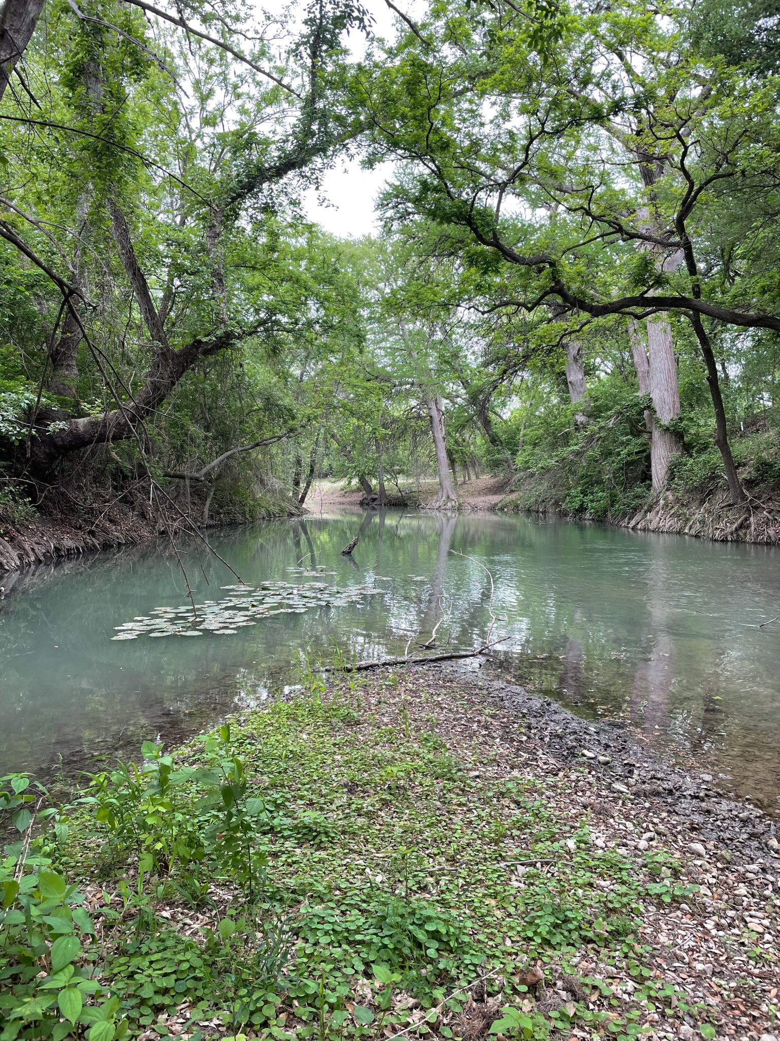 RE_Medina River 2021