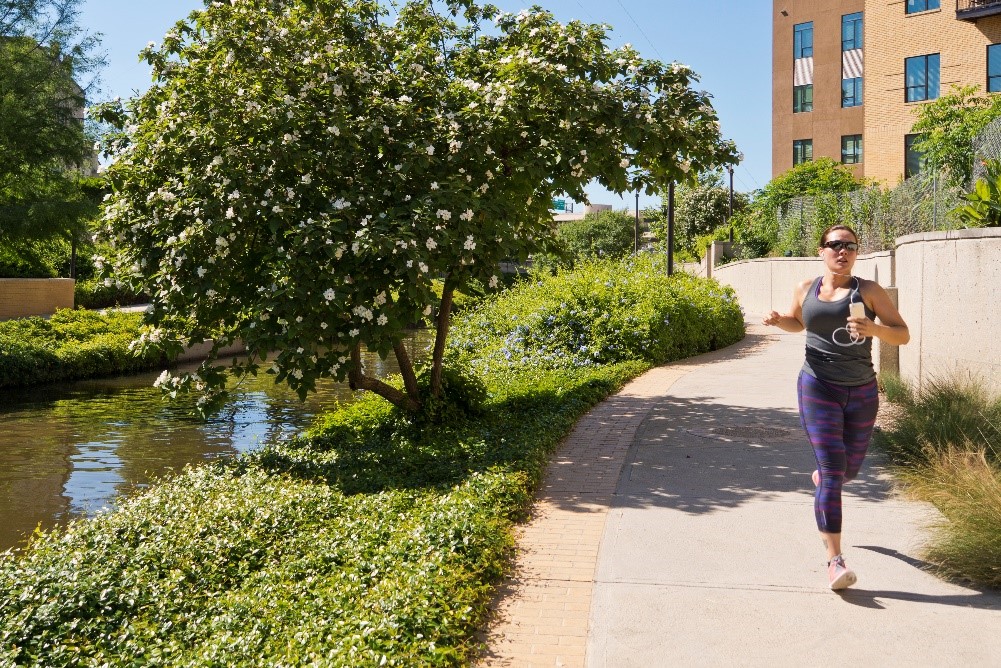 Woman jogging along the San Antonio River Walk Museum Reach segment.