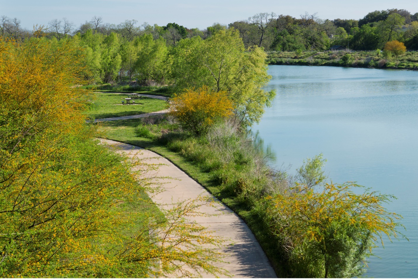 Walking trail at Mission Reach hugs the river bank of the San Antonio River.