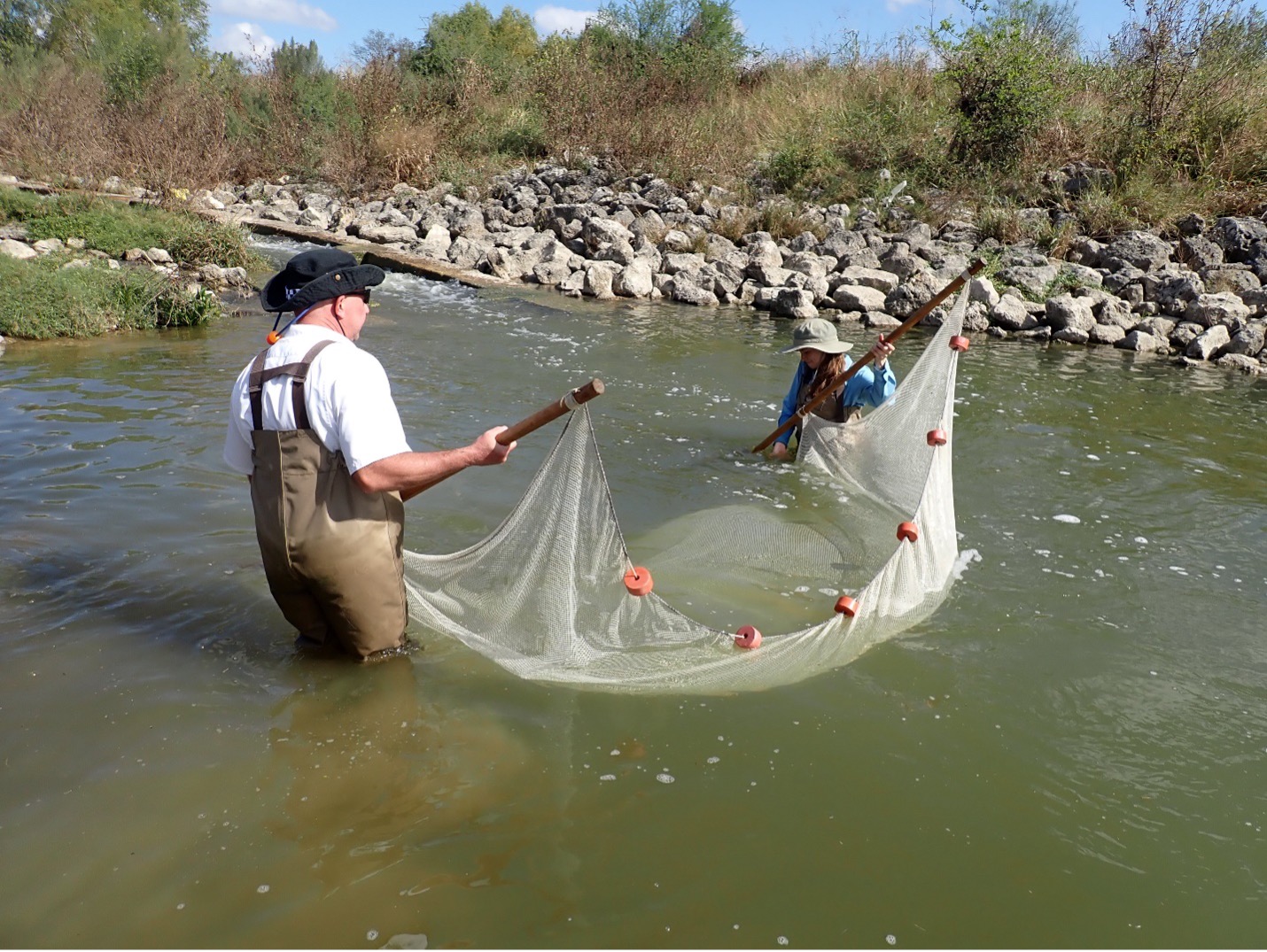 Two people in knee deep water hold partly submerged net to capture corral fish at the bottom of the river.