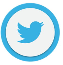 twitter icon circular