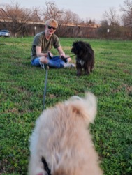 Derek's son Judah with canine companions at Helton Nature Park