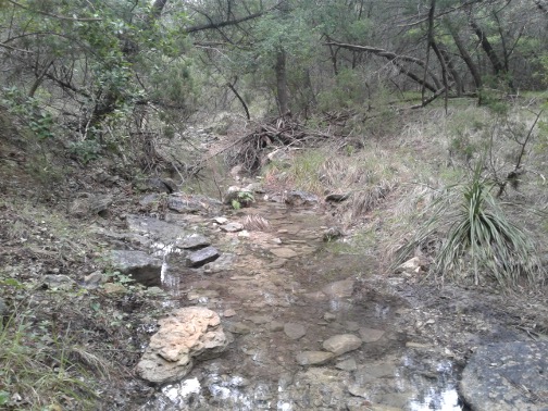 Headwaters of Leon Creek in the foothills of the Hill County