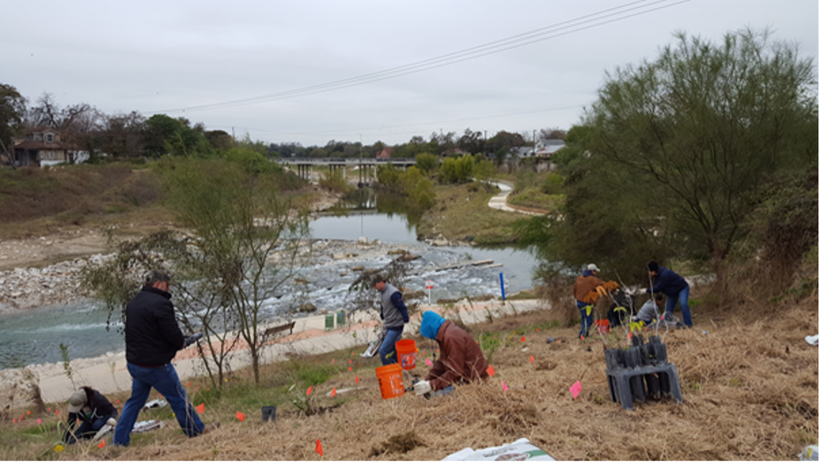 Group plants 23,000 tree seedlings along the Mission Reach