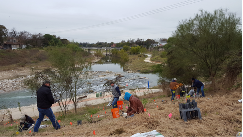 Group plants 23,000 tree seedlings along the Mission Reach