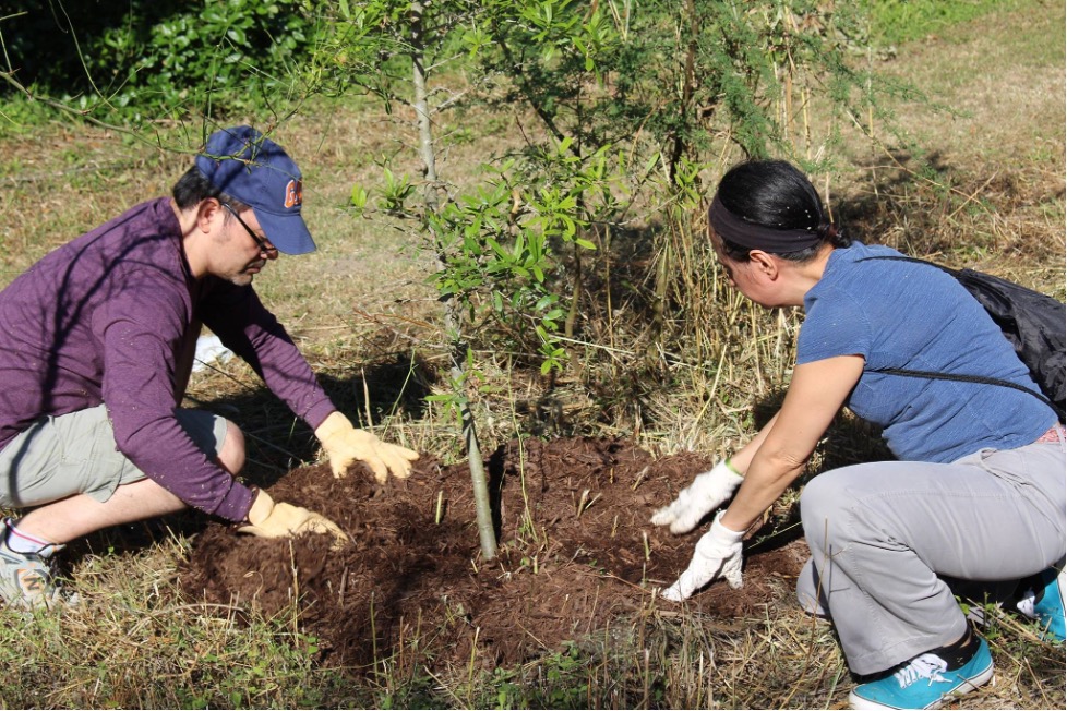 Reduce bacteria and other pollutants by implementing and supporting green infrastructure, which are types of multi-benefit best management practices that help reduce flooding and improve water quality in area creeks and rivers.