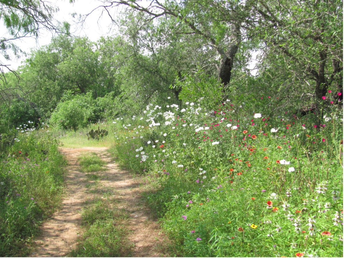 Jackson Nature Park