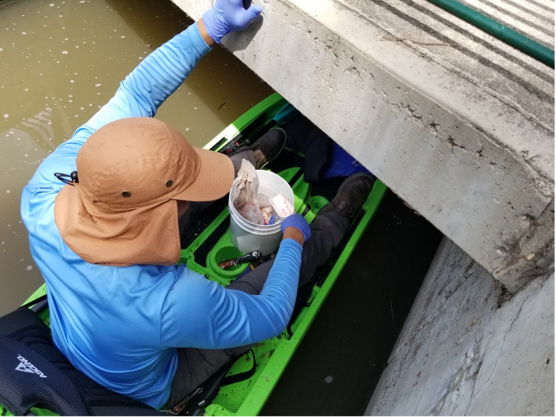 River Warrior collects apple snail egg casing in a kayak.