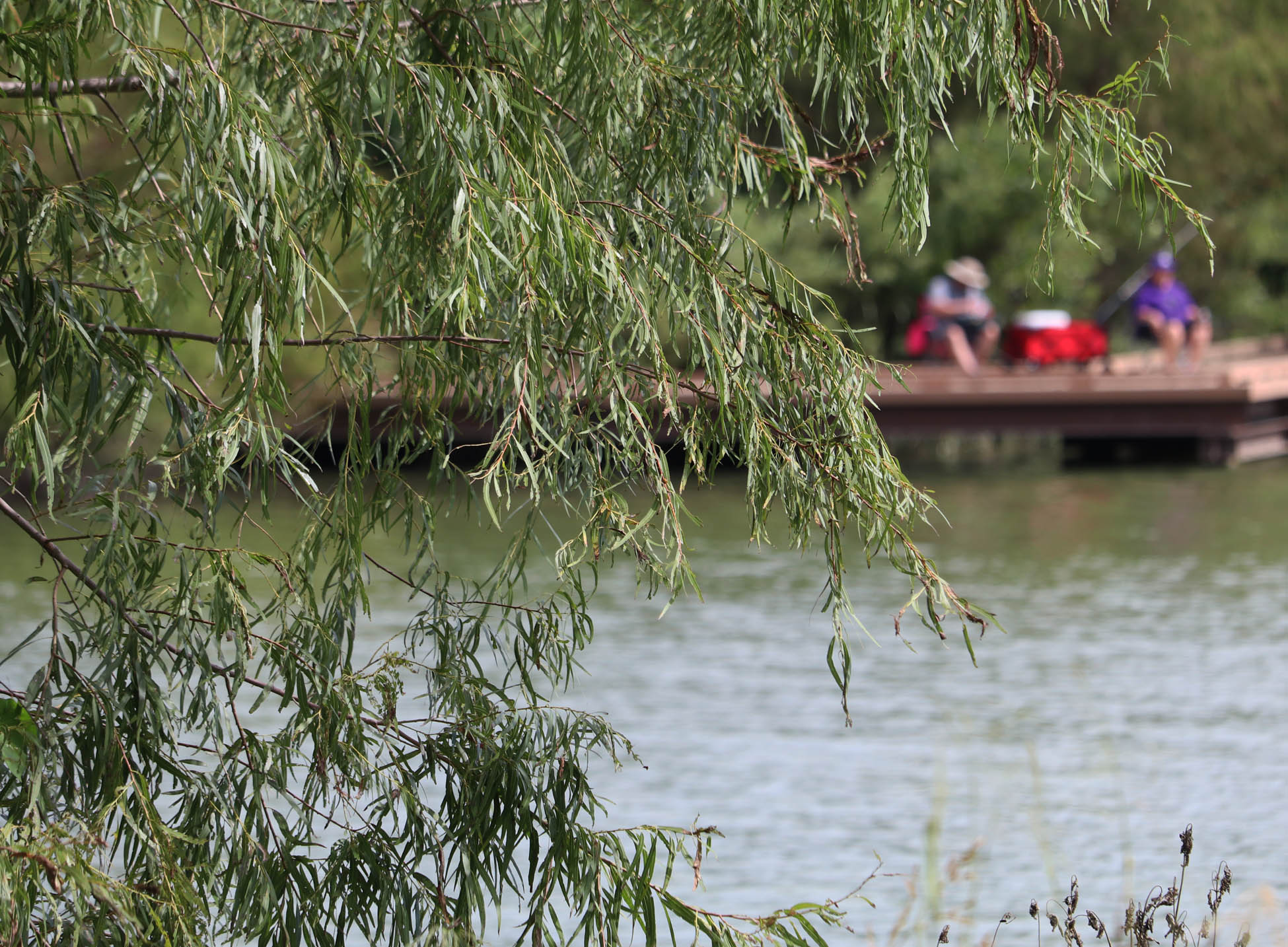 Two men fish alongside the Mission Reach area of the San Antonio River