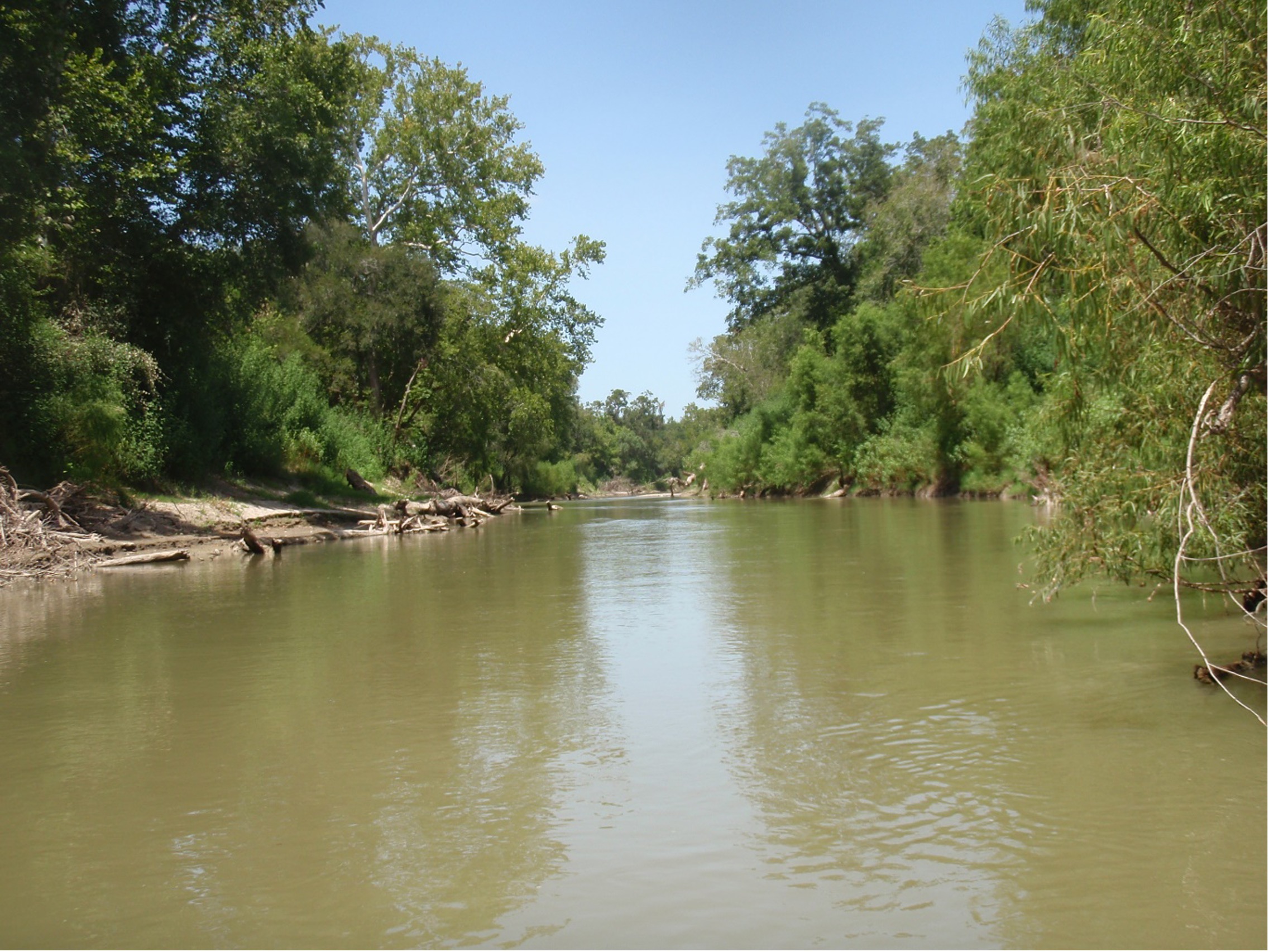 The San Antonio River in Goliad