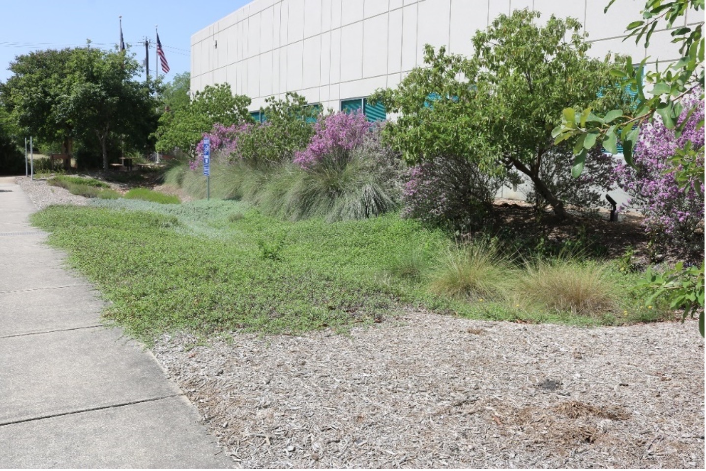 After image of benefical green infrastructure integrated into Euclid River Authority building