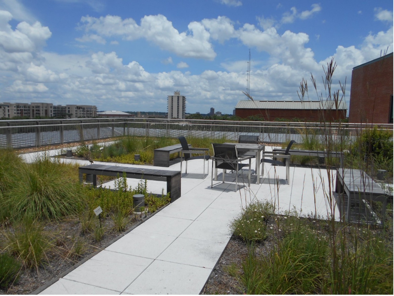 An example of a LID project partially funded by the River Authority—a green roof at Trinity University in San Antonio. 