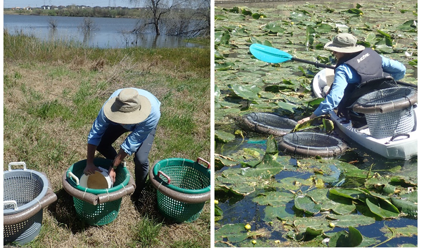 Mussel collection from River Authority Biologists and Scientists on land and on the water