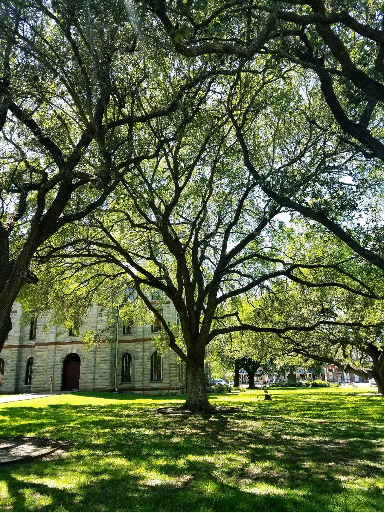 Front lawn of the Goliad County Courthouse