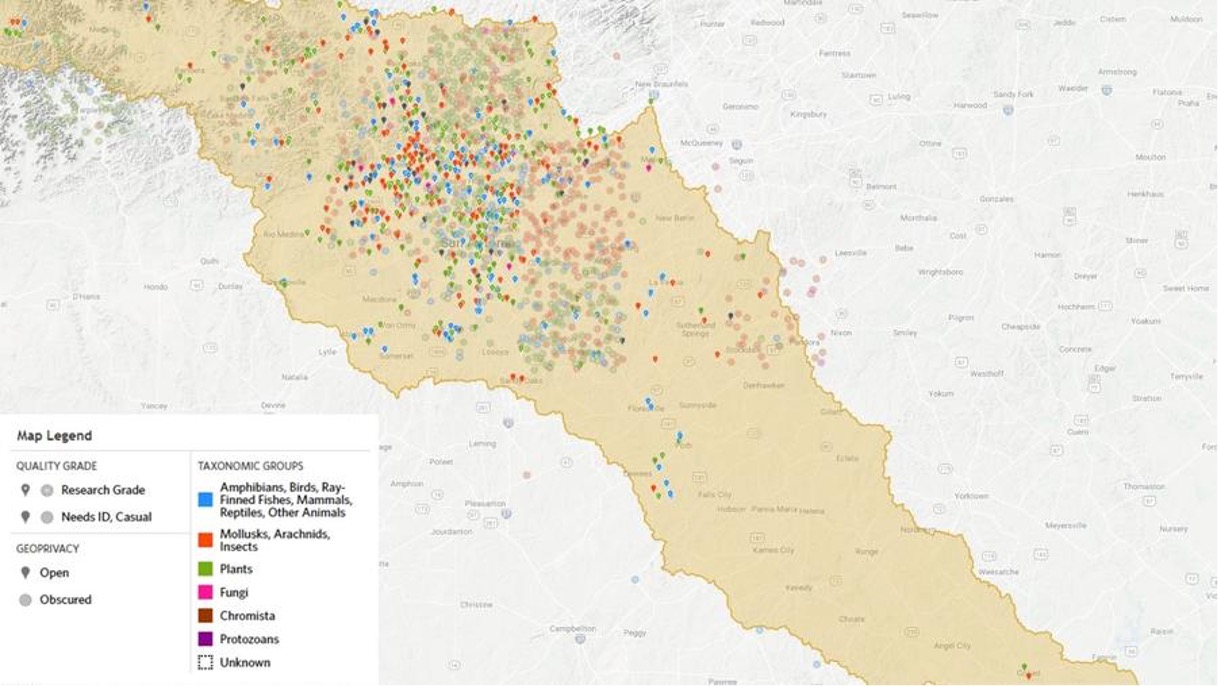 A map of the many observations made in the San Antonio River Watershed during the 2022