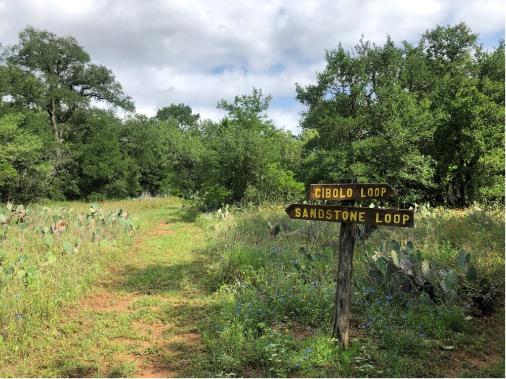 A scenic view of Jackson Nature Park’s natural surface trails system.