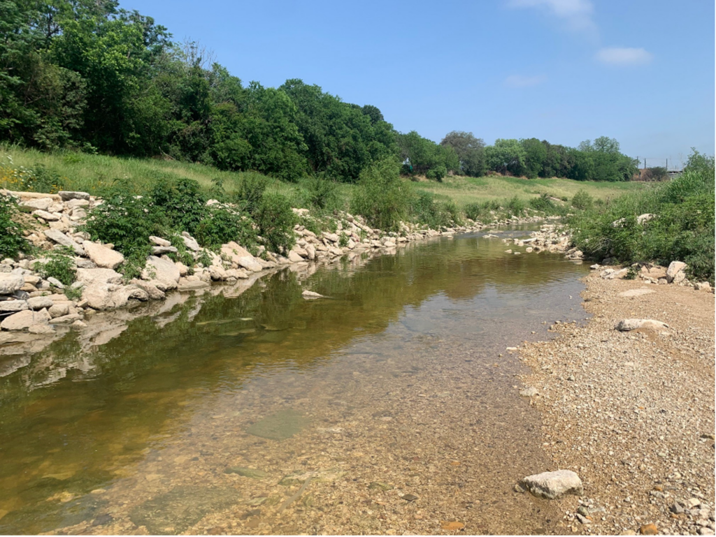 View of Westside Creeks Restoration Project