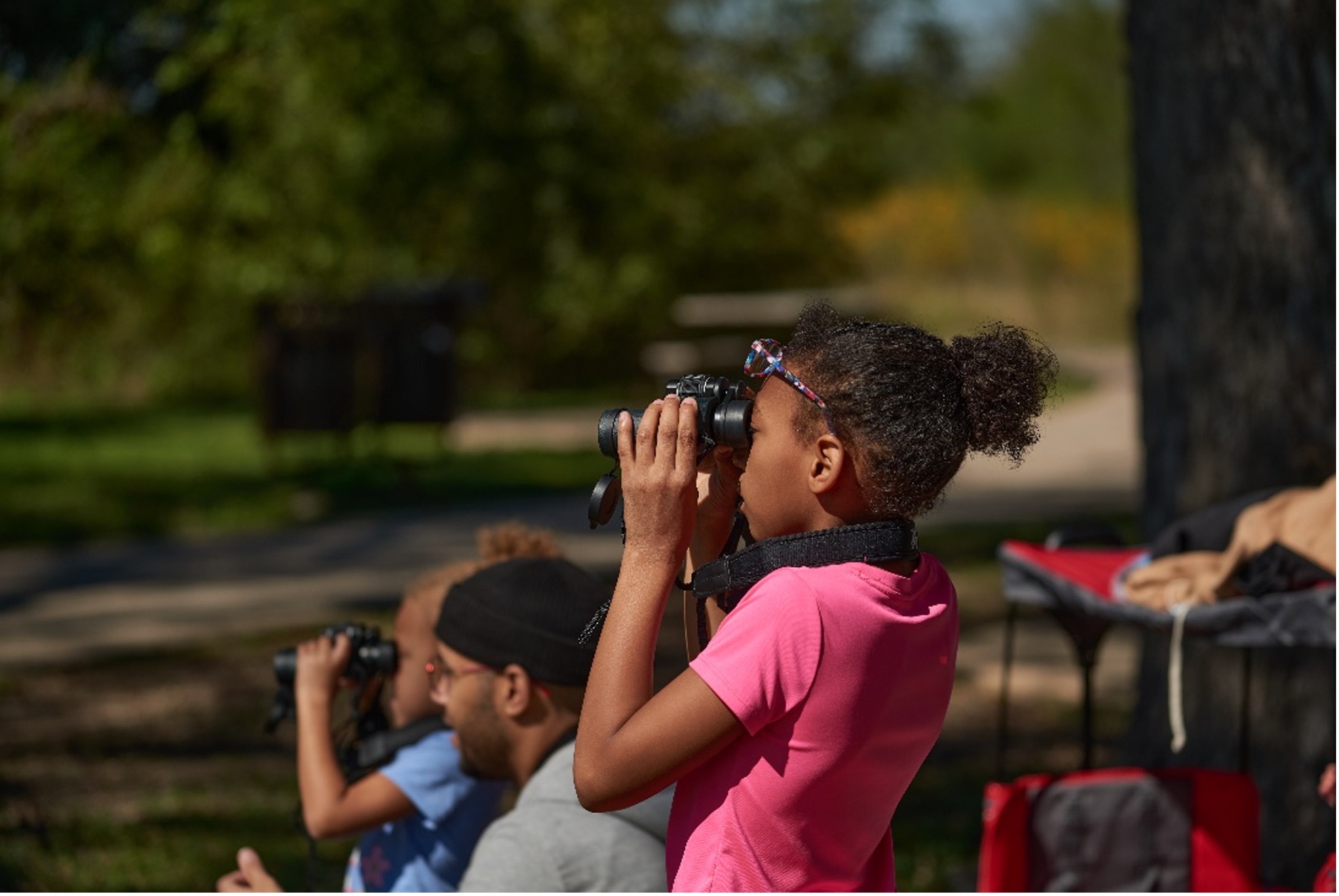 Child watches bird with binoculars 