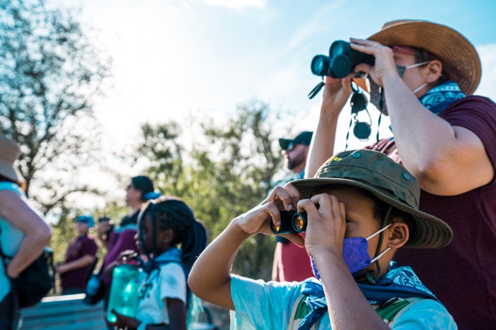 Bird watching groups admire avians.