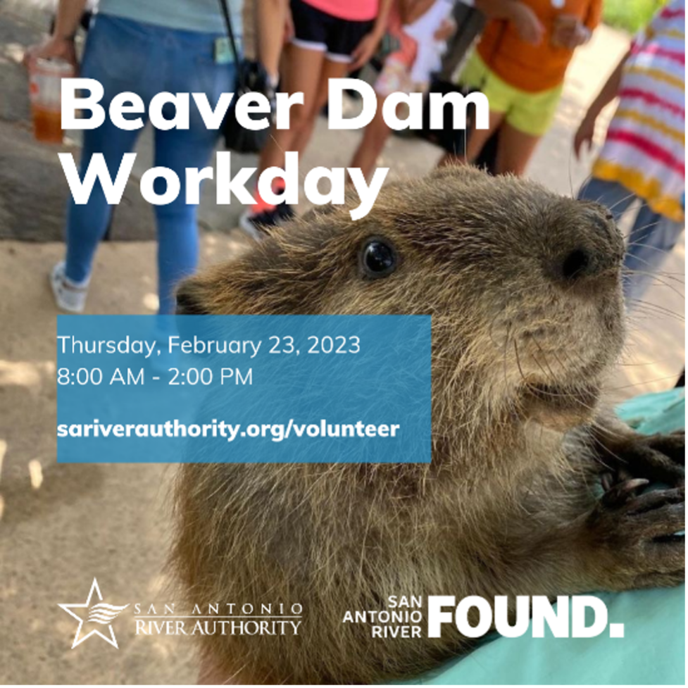 Beaver Dam Workday, Thursday February 23 8-2