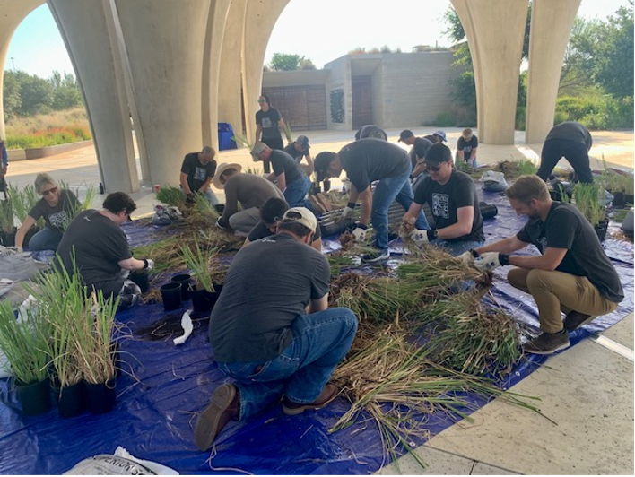 River Warriors planting native grass at Confluence Park
