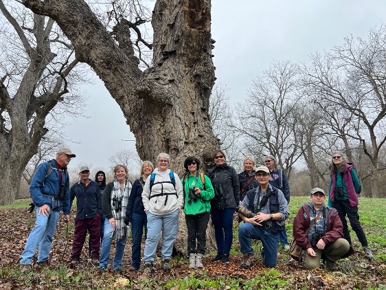 A group of master naturalist observers gather around a large oak tree.