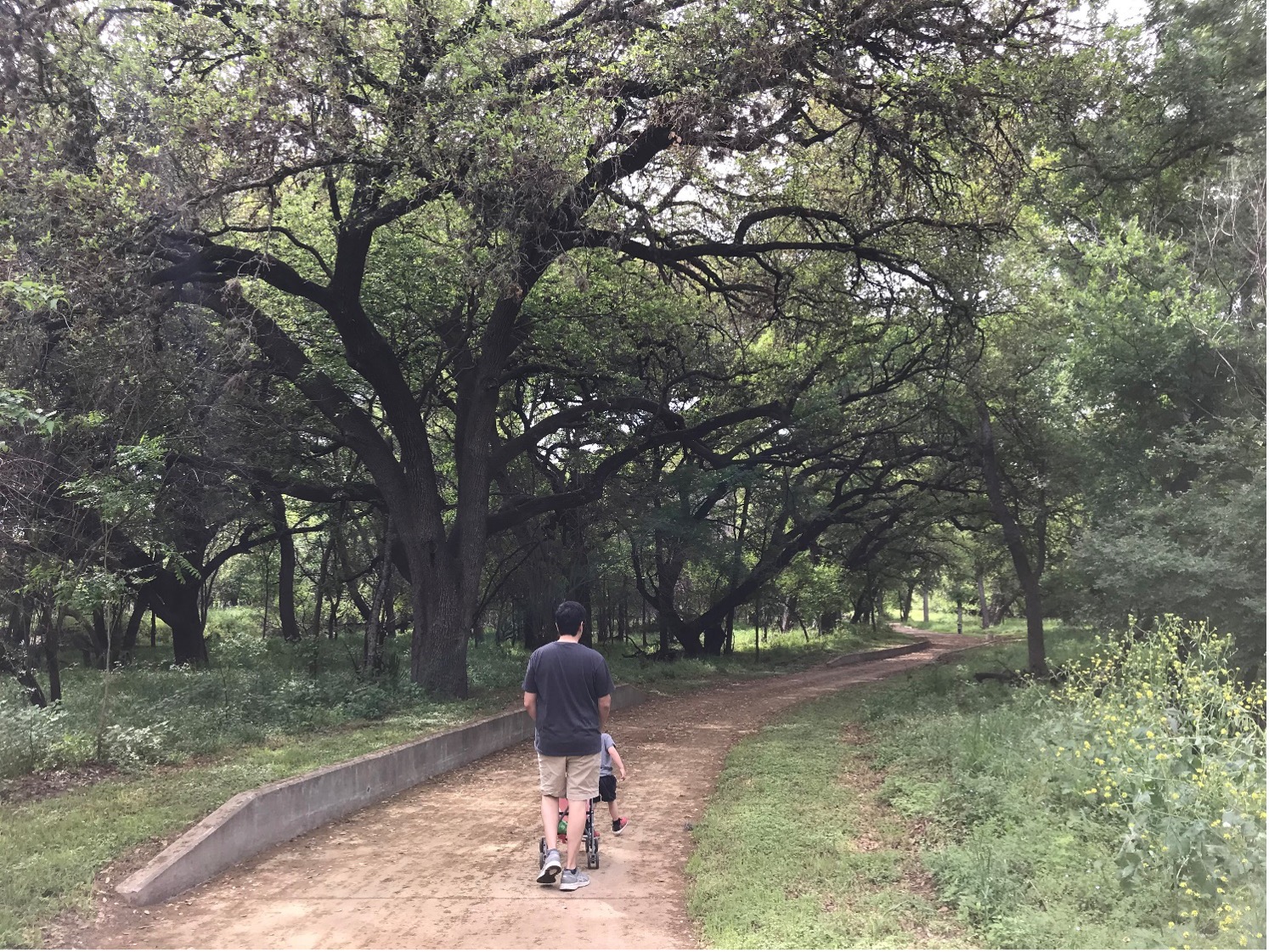 Parent and child walking on park trail