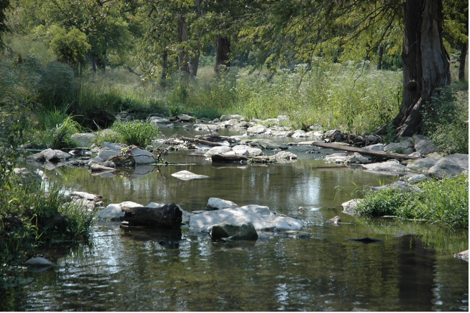 Cibolo Creek