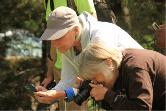 Observers take photos of nature using cameras and their phones.