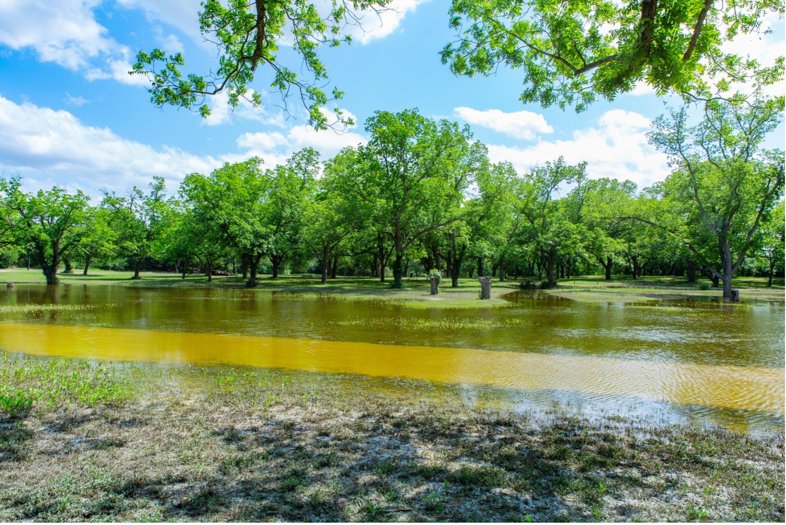 Helton Nature Park flooded trail