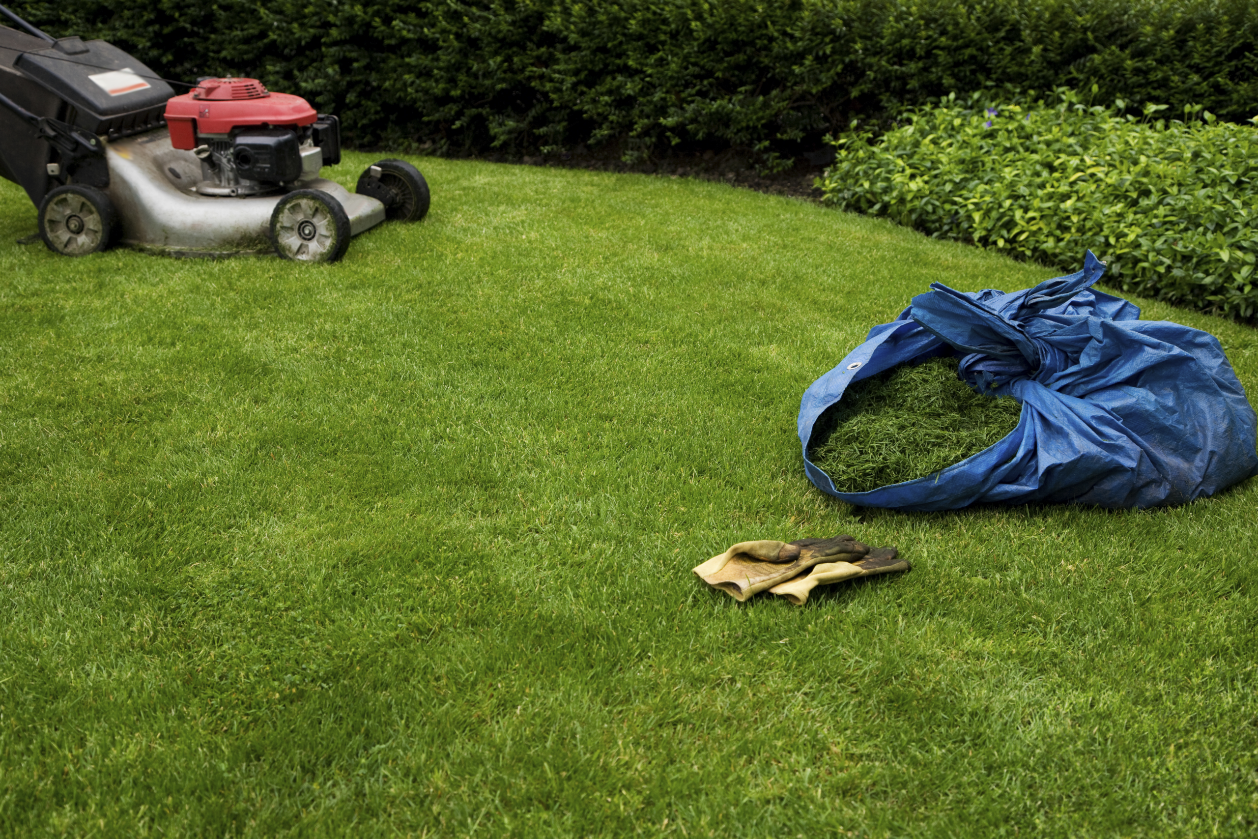Lawn mower next to freshly cut grass