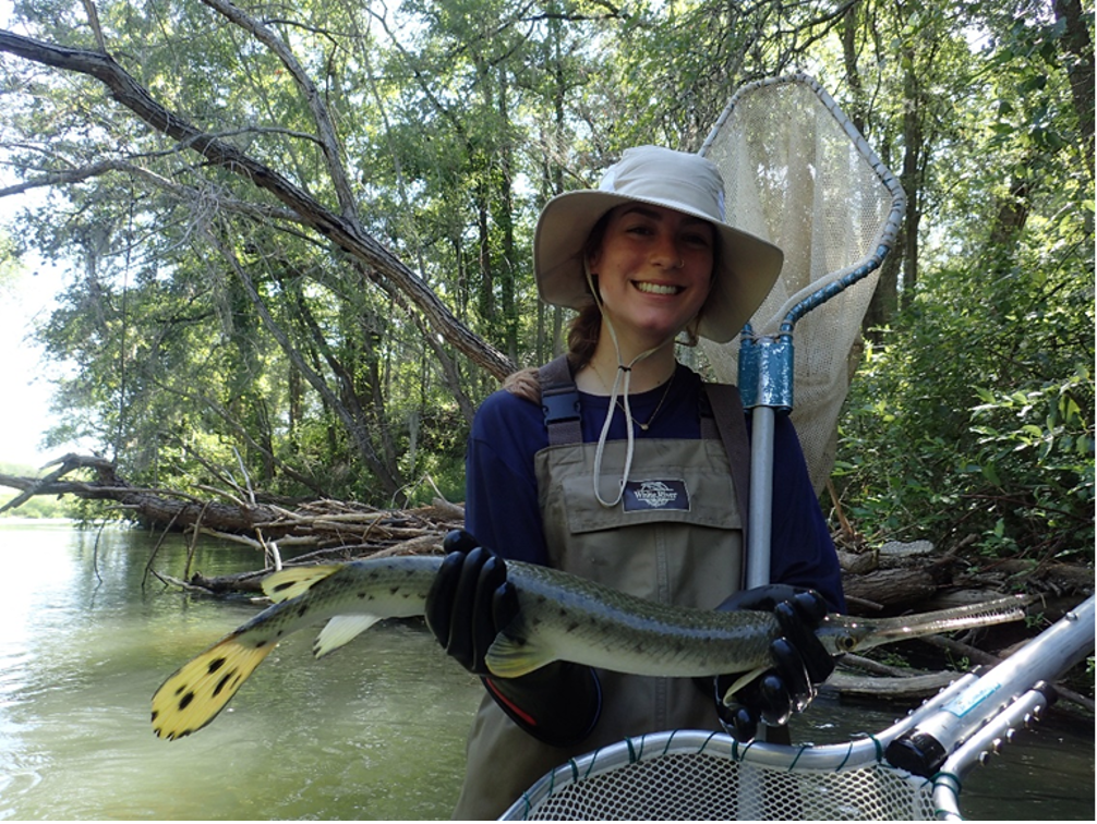 Woman hold longnose gar fish
