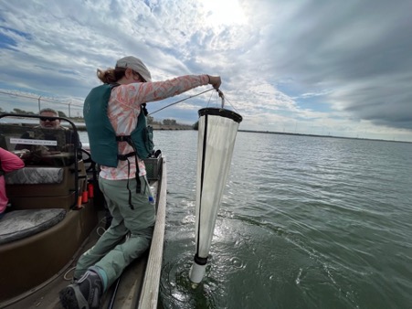 Woman pulls long net out of bay water