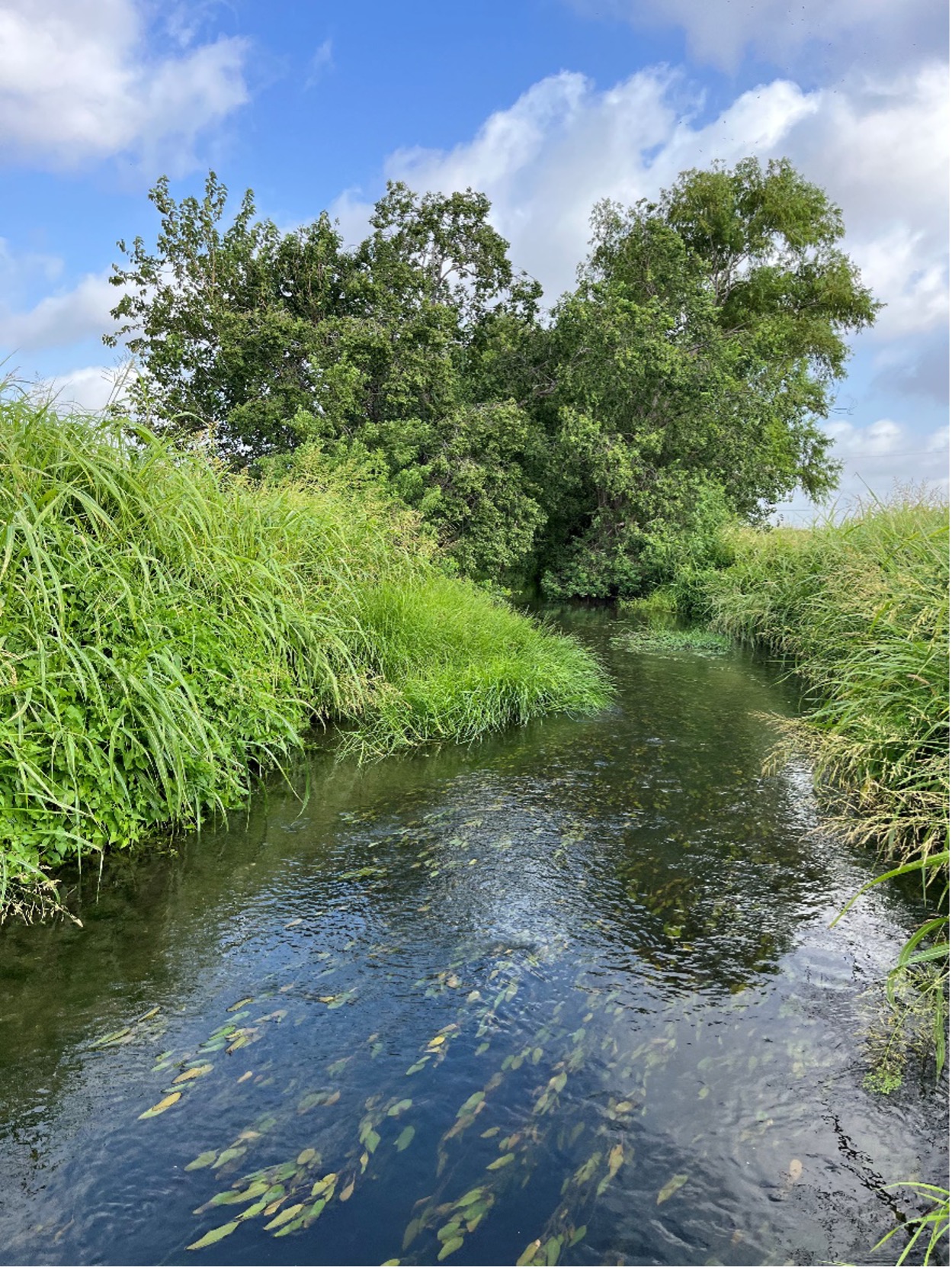 River stream