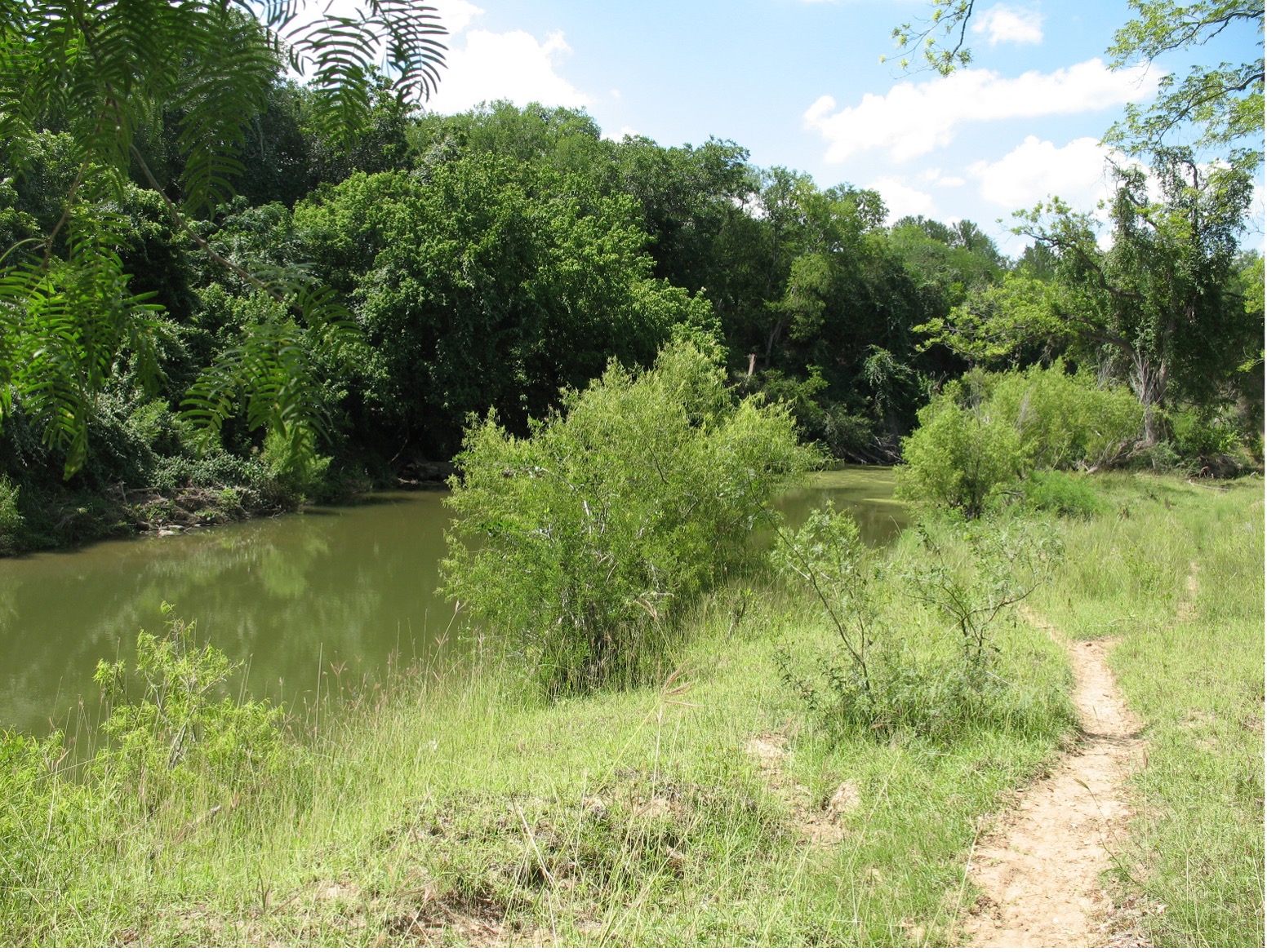 Trueheart Ranch Park trail