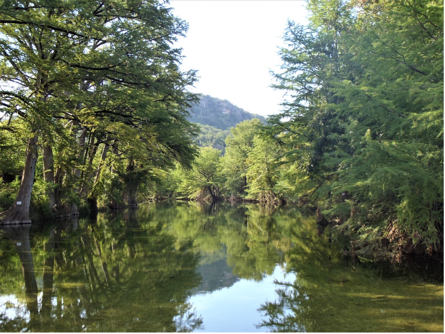 Hendrick Arnold Park with view of Medina River