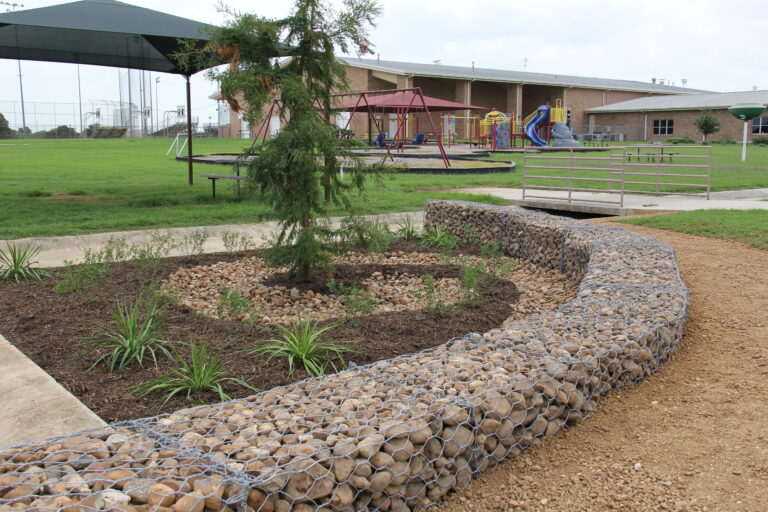 Rain Garden at a school