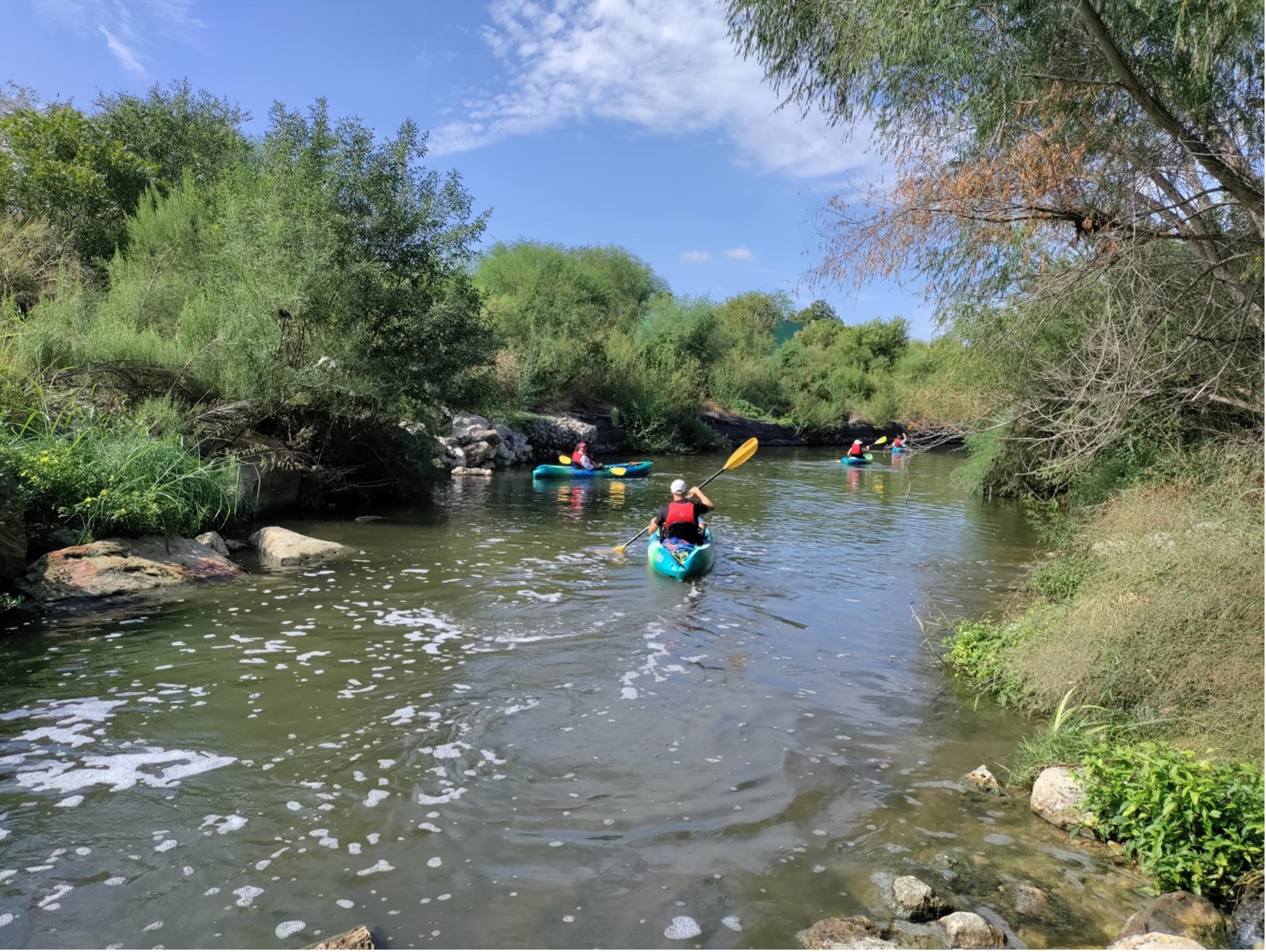 Paddlers exploring the San Antonio River 