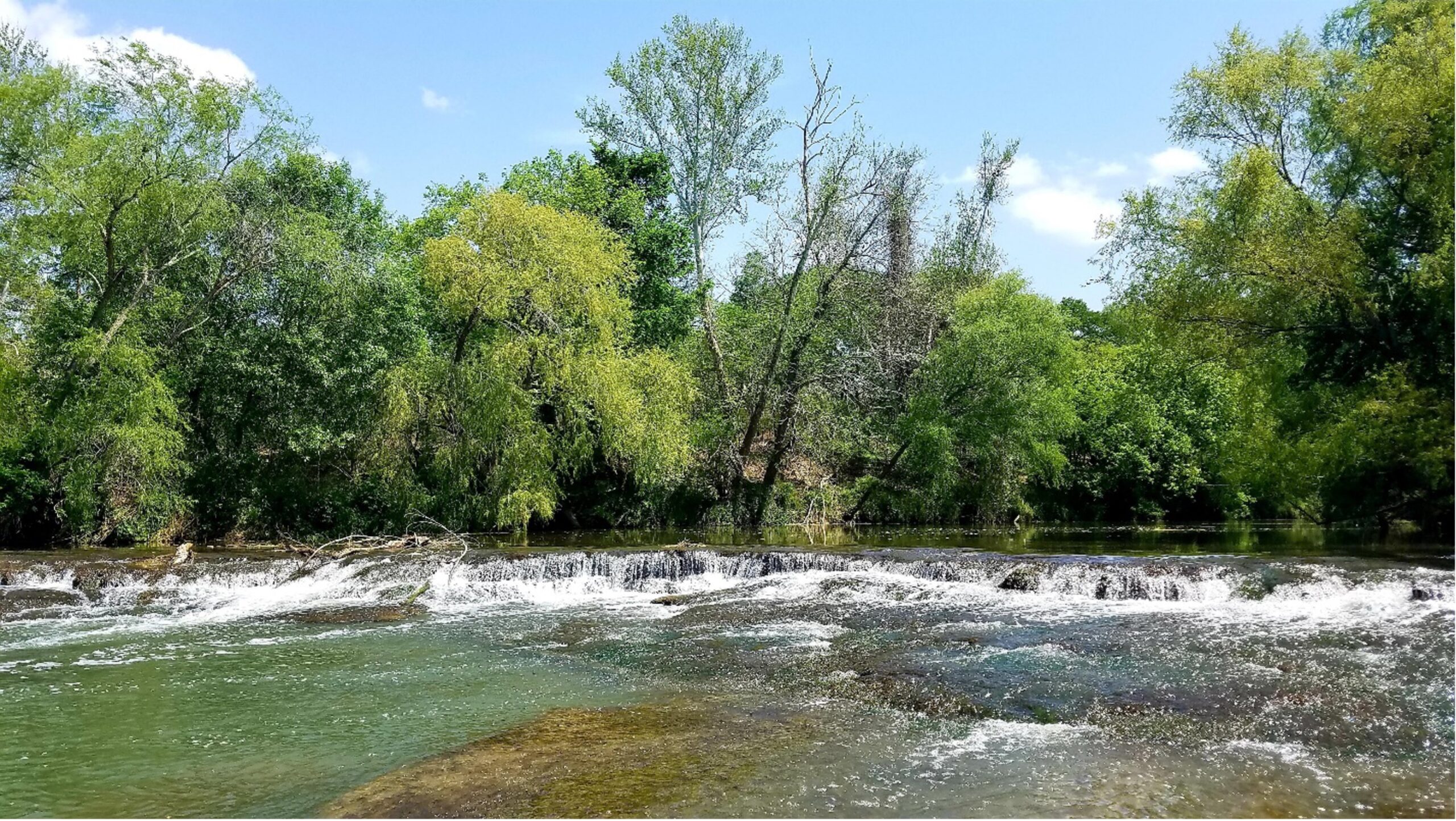 San Antonio River at Karnes County